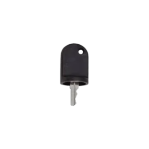 Chìa khóa Key #611282
