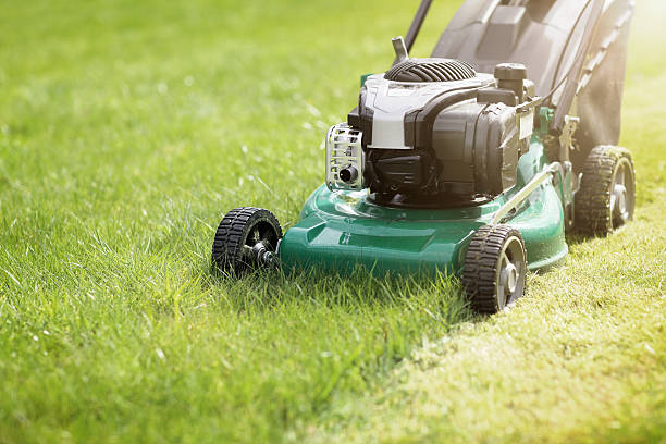 Tổng quan về xe cắt cỏ sân Golf