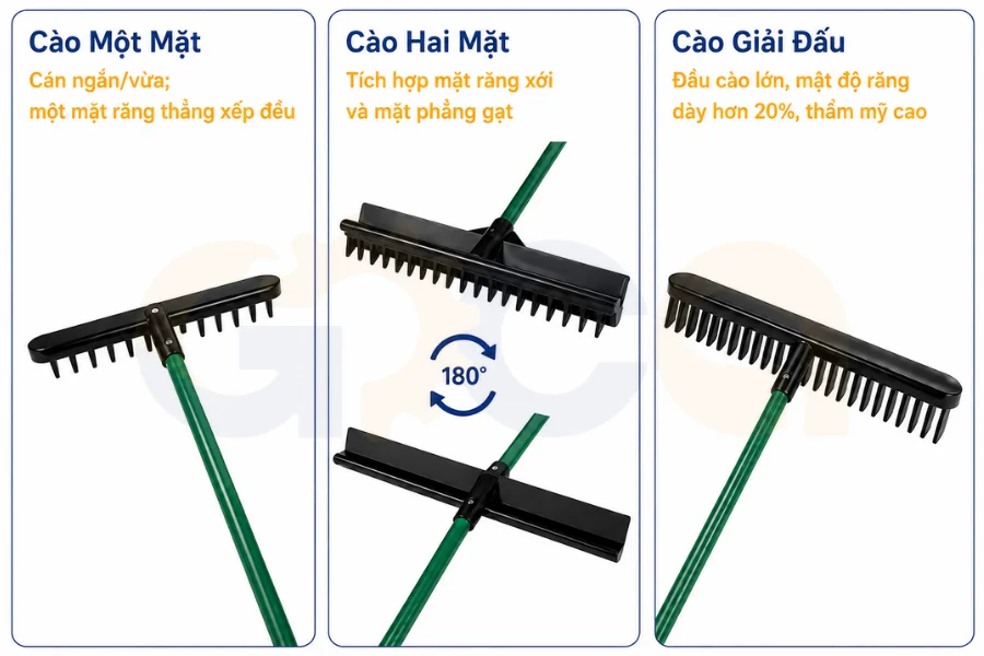 Phân loại các dòng cây cào cát phổ biến trên sân golf hiện nay